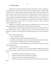 Vilniaus miesto plėtros kryptys ir priemonės 20 puslapis