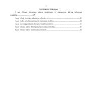 Vilniaus miesto plėtros kryptys ir priemonės 7 puslapis