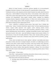 Vilniaus miesto plėtros kryptys ir priemonės 9 puslapis