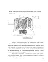 Pilietinio ugdymo metodai bendrojo lavinimo mokykloje 15 puslapis
