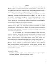 Pilietinio ugdymo metodai bendrojo lavinimo mokykloje 4 puslapis