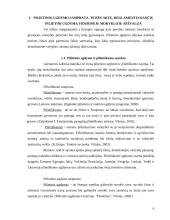 Pilietinio ugdymo metodai bendrojo lavinimo mokykloje 6 puslapis