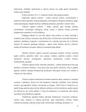 Pilietinio ugdymo metodai bendrojo lavinimo mokykloje 8 puslapis