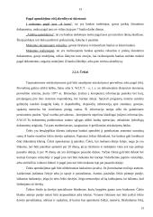 Pinigų laikymas ir atsiskaitymų organizavimas 13 puslapis