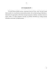 Pinigų laikymas ir atsiskaitymų organizavimas 17 puslapis