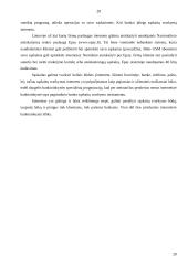 Pinigų laikymas ir atsiskaitymų organizavimas 20 puslapis