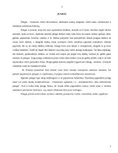 Pinigų laikymas ir atsiskaitymų organizavimas 3 puslapis