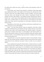 Pinigų laikymas ir atsiskaitymų organizavimas 6 puslapis