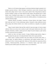 Pinigų laikymas ir atsiskaitymų organizavimas 7 puslapis