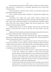 Pinigų laikymo ir atsiskaitymų organizavimas įmonėje 20 puslapis