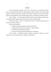 Pinigų laikymo ir atsiskaitymų organizavimas įmonėje 3 puslapis