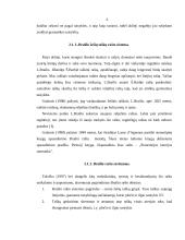 Aklųjų reljefinis raštas 6 puslapis