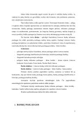 Bankų paslaugų apibūdinimas ir analizė kainodaros aspektu 2 puslapis