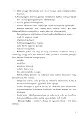 Bankų paslaugų apibūdinimas ir analizė kainodaros aspektu 4 puslapis