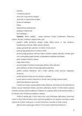 Bankų paslaugų apibūdinimas ir analizė kainodaros aspektu 7 puslapis