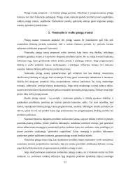 Pinigų srautų analizė: AB "Lėvuo" 20 puslapis