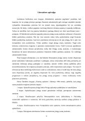 Pinigų srautų analizė: AB "Lėvuo" 4 puslapis