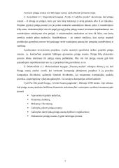 Pinigų srautų analizė: AB "Lėvuo" 5 puslapis