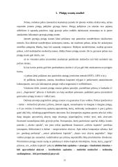 Pinigų srautų analizė: AB "Lėvuo" 9 puslapis