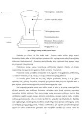 Pinigų srautų analizė: AB "Lėvuo" 10 puslapis