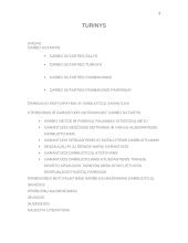 Pirmenybės ir garantijos nutraukiant darbo sutartį, reglamentavimo ir taikymo problemos 2 puslapis