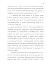 Pirmenybės ir garantijos nutraukiant darbo sutartį, reglamentavimo ir taikymo problemos 14 puslapis