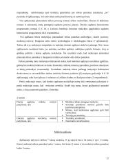 Etika pagrindinėje mokykloje: teorija ir praktika 11 puslapis
