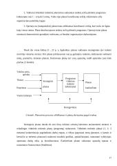 Planavimo esmė ir procesas 17 puslapis