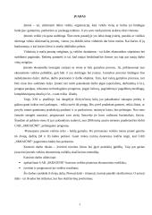 UAB "Skrajūnė" planuojamos gaminti produkcijos pelningumo prognozė 3 puslapis