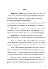 Kristupas Kolumbas – jūrininkas 4 puslapis