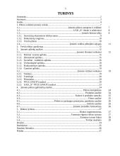 Plėtros galimybių studija įmonėje 2 puslapis