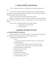 Plėtros galimybių studija įmonėje 13 puslapis