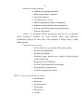 Plėtros galimybių studija įmonėje 15 puslapis