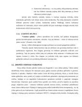 Plėtros galimybių studija įmonėje 19 puslapis