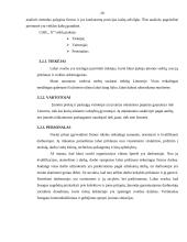 Plėtros galimybių studija įmonėje 20 puslapis
