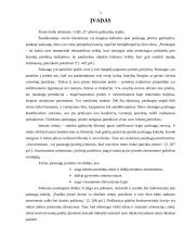 Plėtros galimybių studija įmonėje 5 puslapis