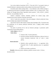 Plėtros galimybių studija įmonėje 6 puslapis