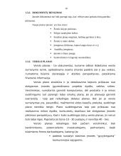 Plėtros galimybių studija įmonėje 10 puslapis