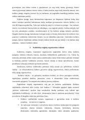 Kultūrinių renginių organizavimo ypatumai 11 puslapis