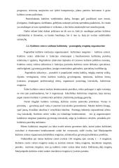 Kultūrinių renginių organizavimo ypatumai 14 puslapis