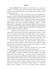 Kultūrinių renginių organizavimo ypatumai 4 puslapis