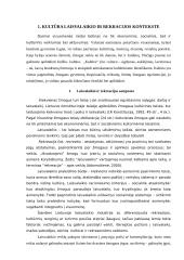 Kultūrinių renginių organizavimo ypatumai 6 puslapis
