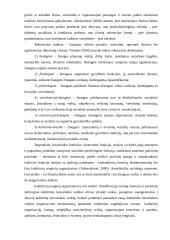 Kultūrinių renginių organizavimo ypatumai 7 puslapis