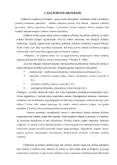Kultūrinių renginių organizavimo ypatumai 10 puslapis