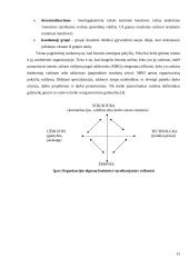 Pokyčių valdymas organizacijoje 16 puslapis