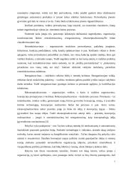 Pokyčių valdymas organizacijoje 8 puslapis