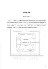 Lietuvos darbo biržos naujų technologijų  įdiegimo strategija 11 puslapis