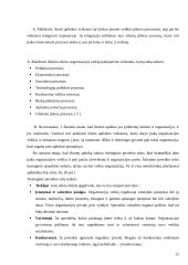 Lietuvos darbo biržos naujų technologijų  įdiegimo strategija 12 puslapis