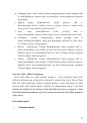 Lietuvos darbo biržos naujų technologijų  įdiegimo strategija 15 puslapis