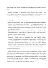 Lietuvos darbo biržos naujų technologijų  įdiegimo strategija 17 puslapis